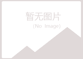 平川区残留制造有限公司